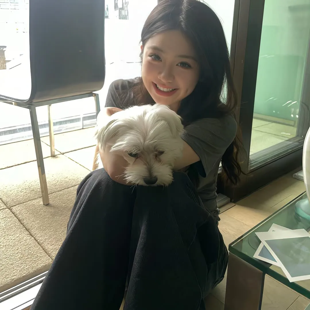 再见，绝望先生